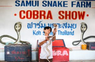 Snake Farm Koh Samui